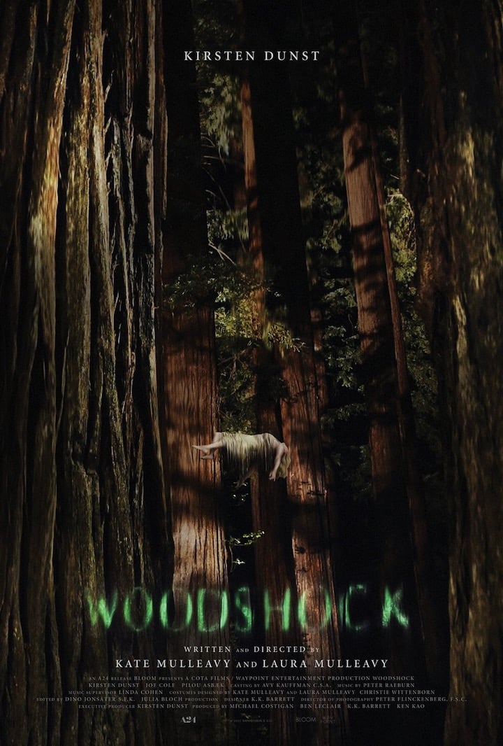 Постер фильма «Woodshock»